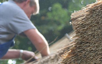 professional Newick thatchers